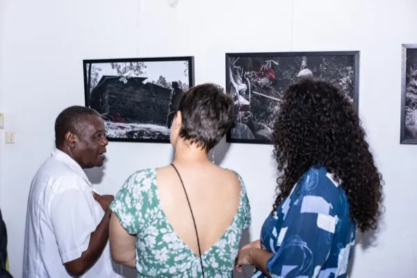 Curation photo 6